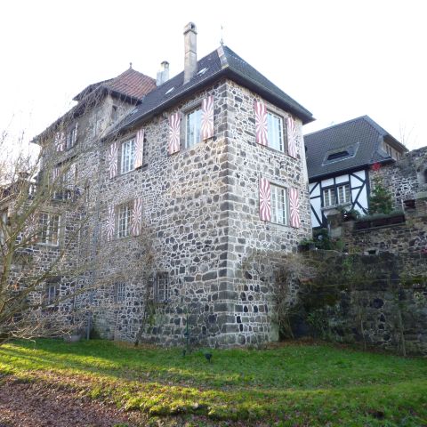 Burg Lede