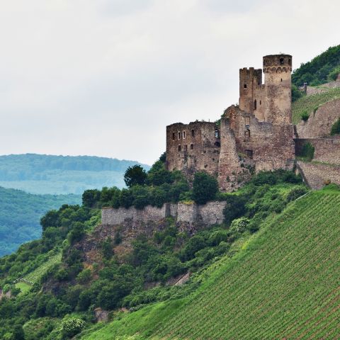 Burg Ehrenfels in R?uuml;desheim am Mittelrhein