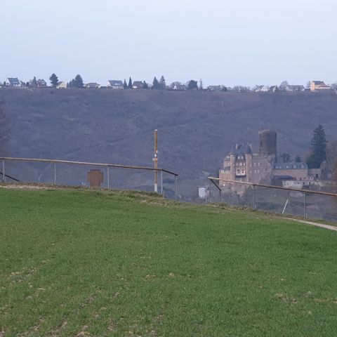 Hoher Fels bei St. Goar am Mittelrhein, Burg Katz