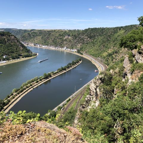 Blick von der Loreley in den Loreleyhafen, Mittelrhein