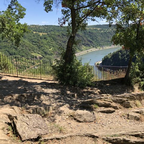 Loreleyplateau Loreley am Mittelrhein