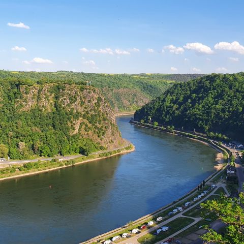 Loreley bei St. Goar am Mittelrhein 