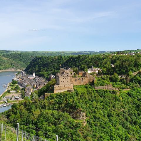 Burg Rheinfels am Mittelrhein bei St. Goar