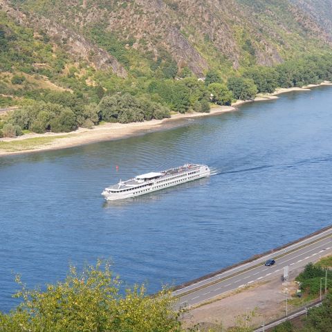 Rhein bei Hirzenach, im Hintergrund St. Goar Fellen