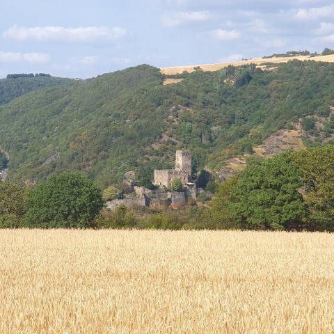 Burg Gutenfels in Kaub am Mittelrhein