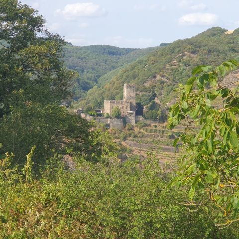 Burg Gutenfels in Kaub am Mittelrhein