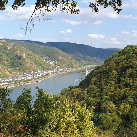 Rheinblick Richtung Kaub am Mittelrhein