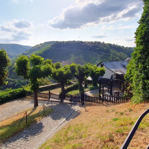 Sch?ouml;nburg bei Oberwesel am Mittelrhein