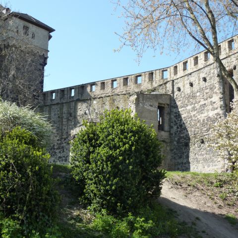 City Castle Andernach on the Middle Rhine