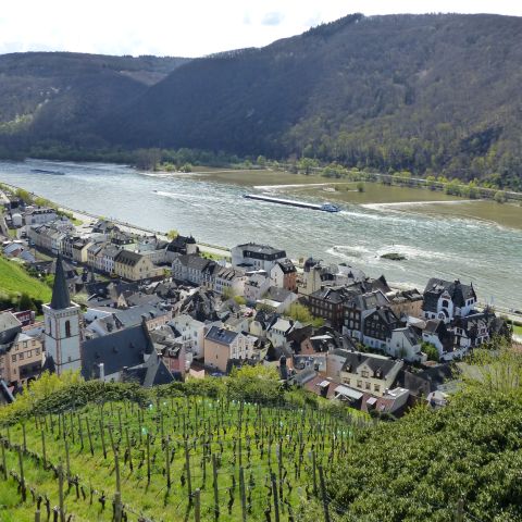 Assmannshausen am Mittelrhein