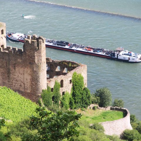 Burg Ehrenfels in R?uuml;desheim am Mittelrhein