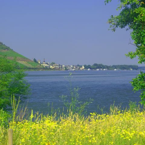 R?uuml;desheim am Mittelrhein von Bingen aus fotographiert