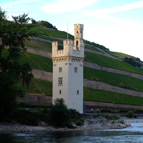 Mauserturm in Bingen am Rhein, umgeben von Weinbergen und dem Fluss, im Hintergrund sanfte H?uuml;gel.