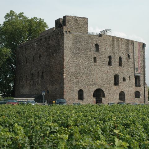 Br?ouml;mserburg in Rüdesheim am Mittelrhein