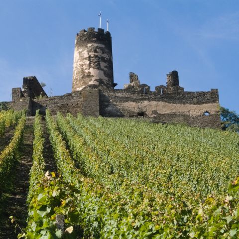Castle F?uuml;rstenberg in Rheindiebach on the Middle Rhine