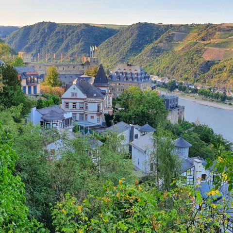 Burg Rheinfels am Rhein bei St. Goar