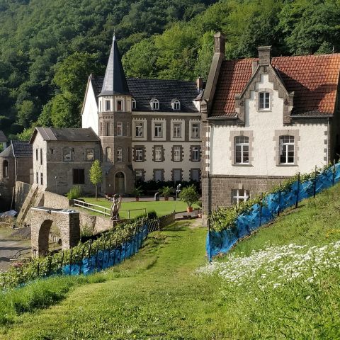 Burg Brohleck bei Brohl-L?uuml;tzing am Mittelrhein