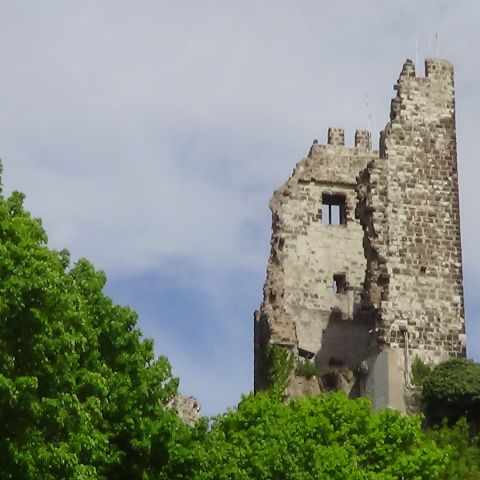 Castle Drachenfels on the Middle Rhine