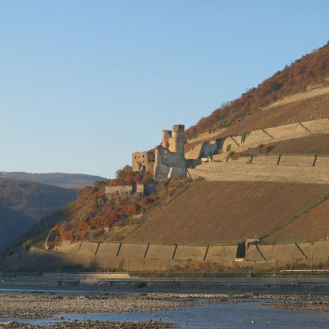 Burg Ehrenfels in R?uuml;desheim am Mittelrhein