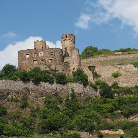 Burg Ehrenfels in R?uuml;desheim am Mittelrhein