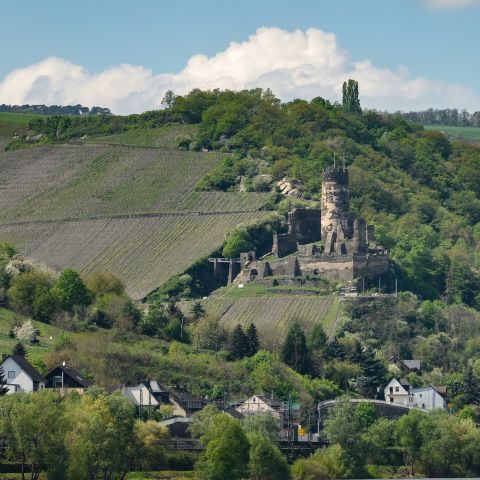 Castle F?uuml;rstenberg in Rheindiebach on the Middle Rhine
