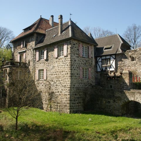 Burg Lede