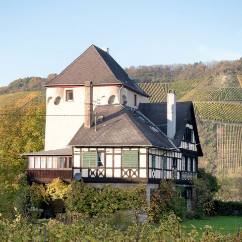 Burg Osterspai am Mittelrhein