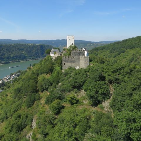 Burg Sterrenberg in Kamp-Bornhofen am Mittelrhein