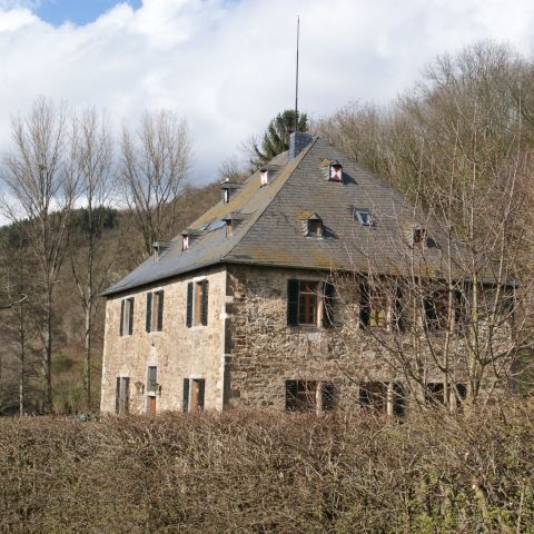 Burg Vilzelt am Mittelrhein
