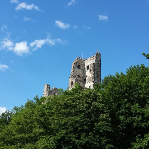 Burg Drachenfels am Mittelrhein