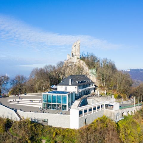 Burg Drachenfels am Mittelrhein