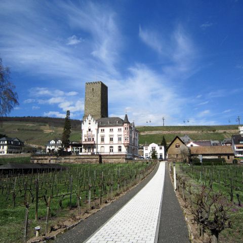 Boosenburg in R?uuml;desheim on the Middle Rhine