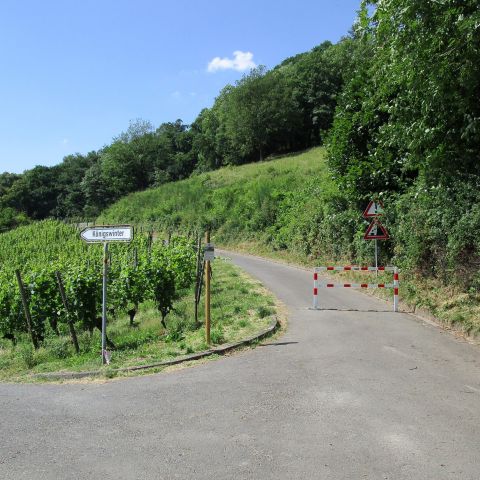 K?ouml;nigswinter Drachenfels Weinbergswege