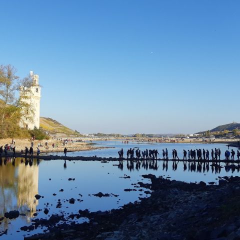 M?auml;useturm bei Niedrigwasser bei Bingen am Mittelrhein