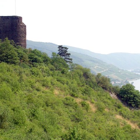 Ruins of Nollig near Lorch on the Middle Rhine
