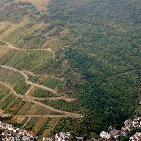 Nollig Ruins near Lorch on the Middle Rhine