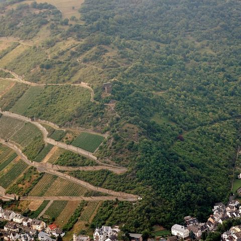 Ruine Nollig bei Lorch am Mittelrhein