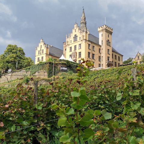Schloss Arenfels bei Bad H?ouml;nningen am Mittelrhein