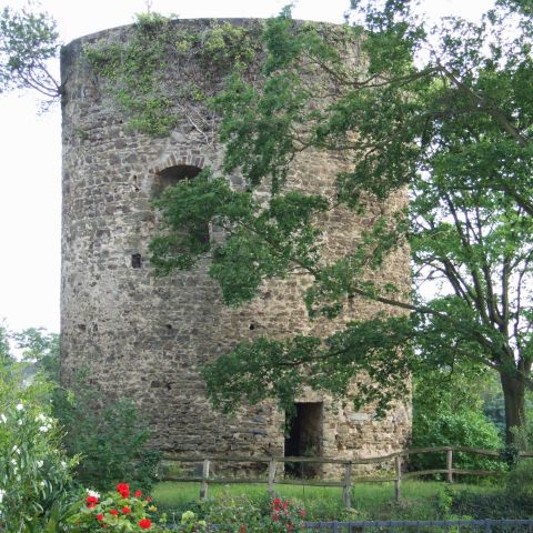 Burg Dattenberg am Mittelrhein