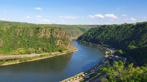 Loreley bei St. Goar am Mittelrhein 