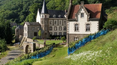 Brohleck Castle near Brohl-L?uuml;tzing on the Middle Rhine