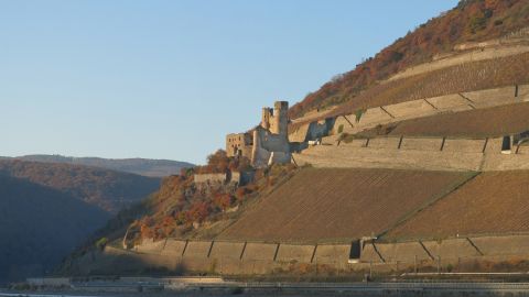 Burg Ehrenfels in R?uuml;desheim am Mittelrhein