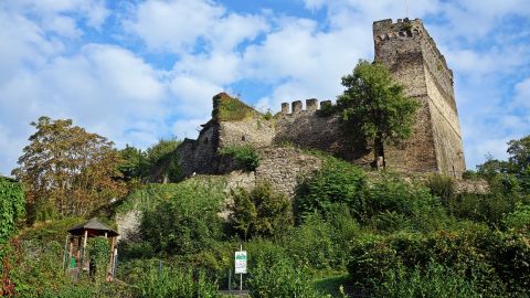 Burg Altwied am Mittelrhein